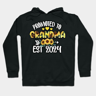 Promoted To Grandma Est 2024 Hoodie